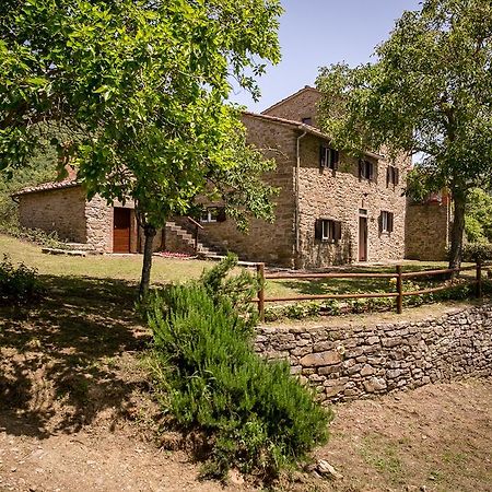 Borgo Al Teto La Vite Lägenhet Castiglion Fiorentino Exteriör bild