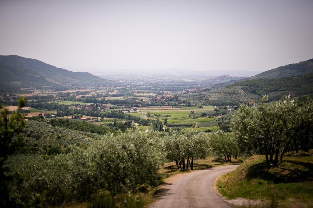 Borgo Al Teto La Vite Lägenhet Castiglion Fiorentino Exteriör bild