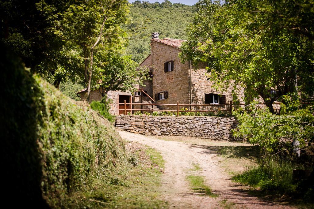Borgo Al Teto La Vite Lägenhet Castiglion Fiorentino Exteriör bild