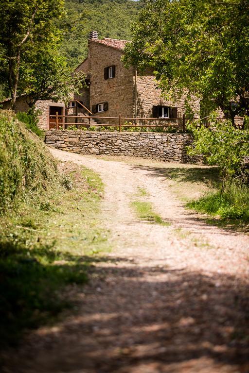 Borgo Al Teto La Vite Lägenhet Castiglion Fiorentino Exteriör bild