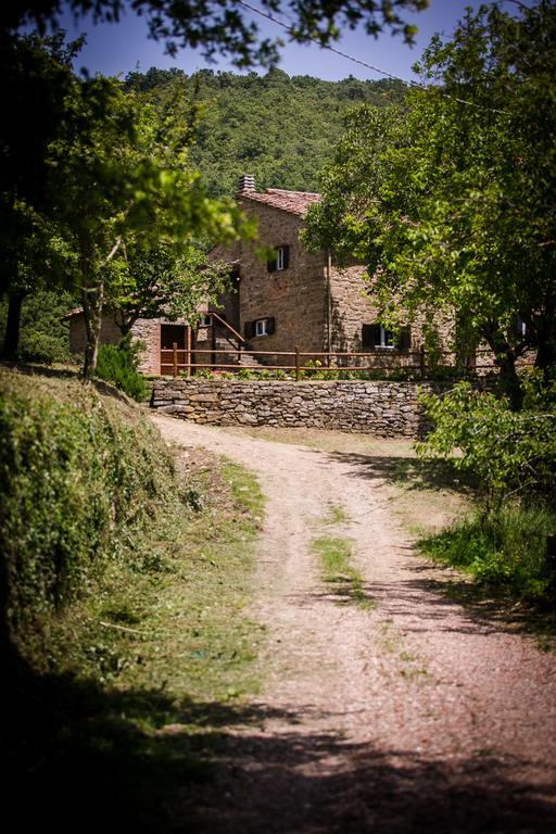 Borgo Al Teto La Vite Lägenhet Castiglion Fiorentino Exteriör bild