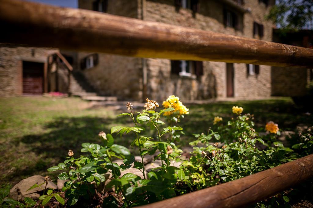 Borgo Al Teto La Vite Lägenhet Castiglion Fiorentino Exteriör bild
