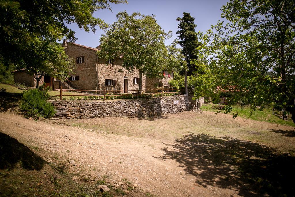 Borgo Al Teto La Vite Lägenhet Castiglion Fiorentino Exteriör bild