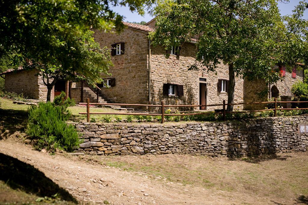 Borgo Al Teto La Vite Lägenhet Castiglion Fiorentino Exteriör bild
