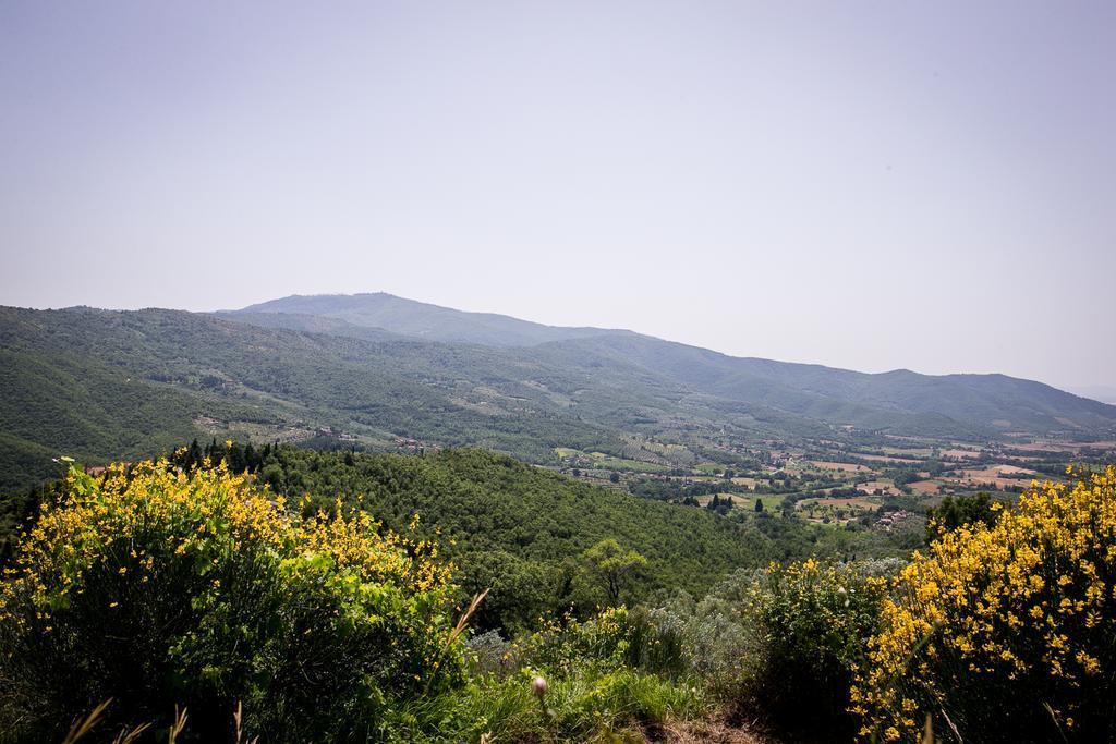 Borgo Al Teto La Vite Lägenhet Castiglion Fiorentino Exteriör bild