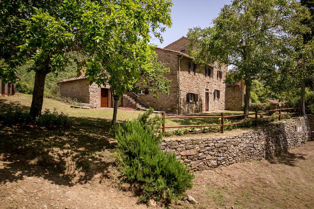 Borgo Al Teto La Vite Lägenhet Castiglion Fiorentino Exteriör bild