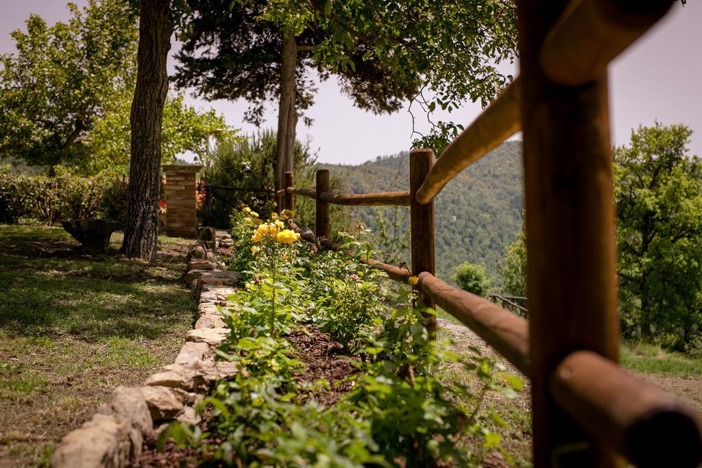 Borgo Al Teto La Vite Lägenhet Castiglion Fiorentino Exteriör bild