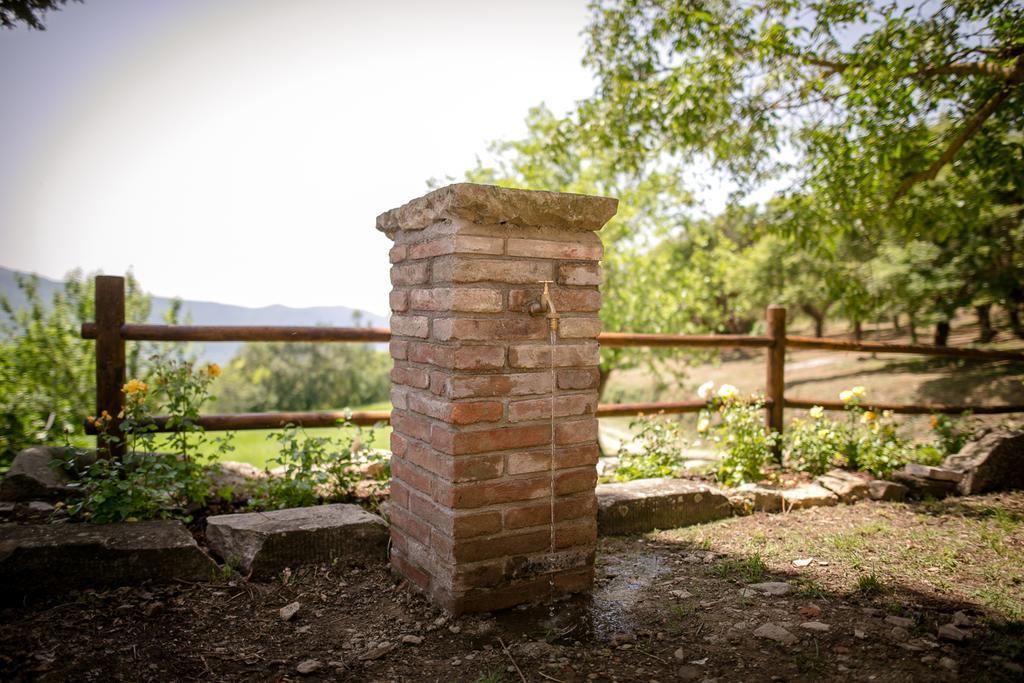 Borgo Al Teto La Vite Lägenhet Castiglion Fiorentino Exteriör bild